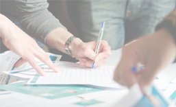 广州行业门户网站建设